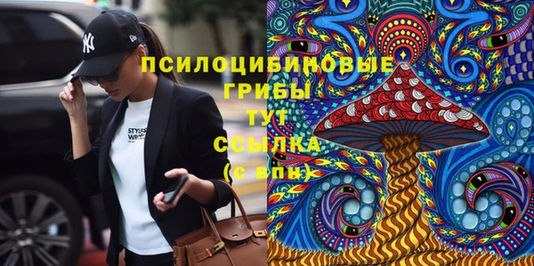 мяу мяу кристалл Чита