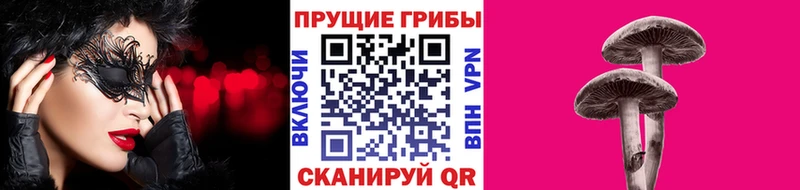 Галлюциногенные грибы Cubensis  Вилючинск 
